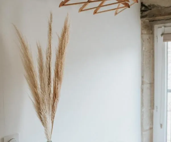 6 Pers Salle De Jeux & Petanque Cuq (Tarn)